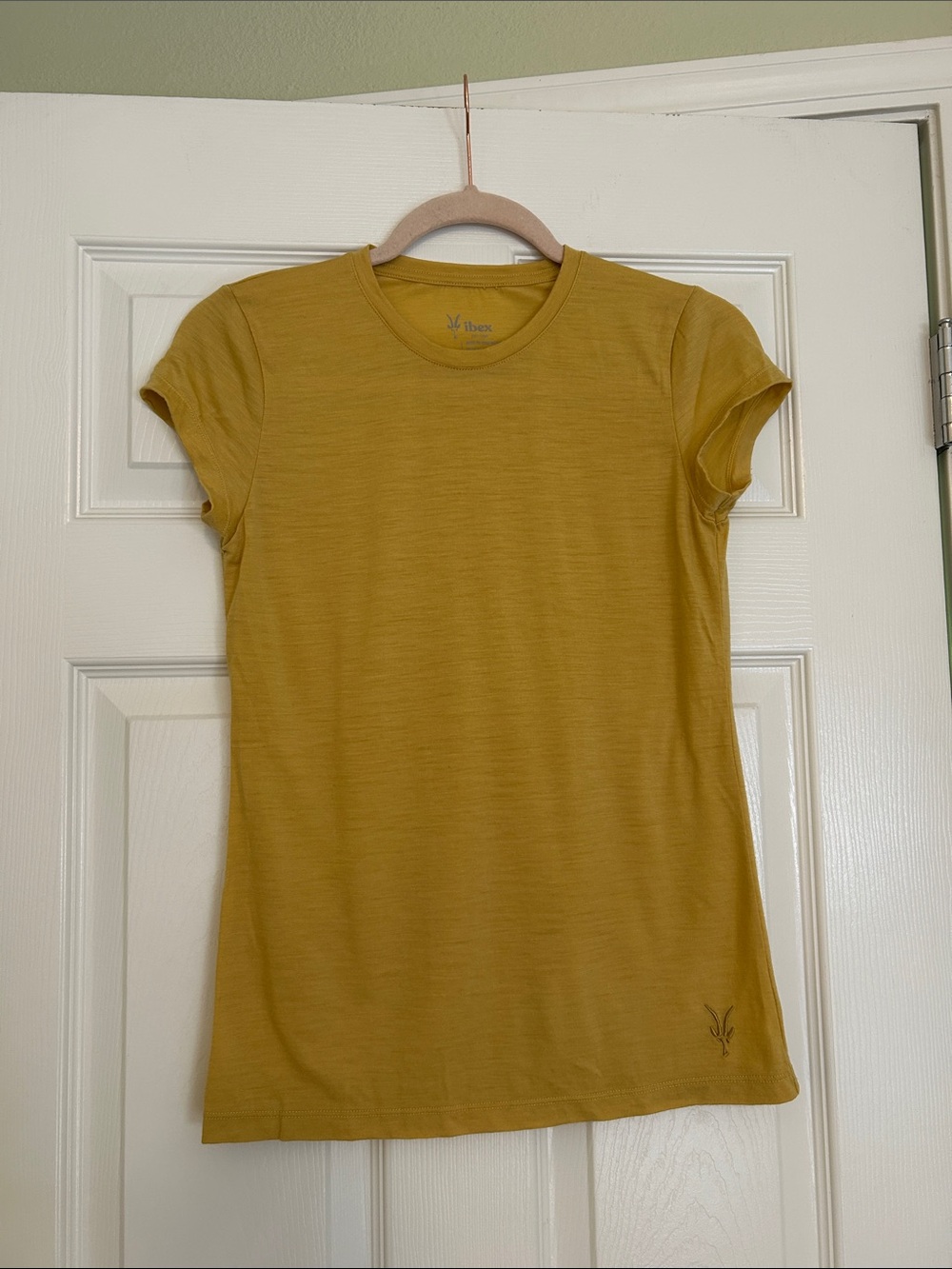 Ibex Merino Wool Short Sleeve T-Shirt
